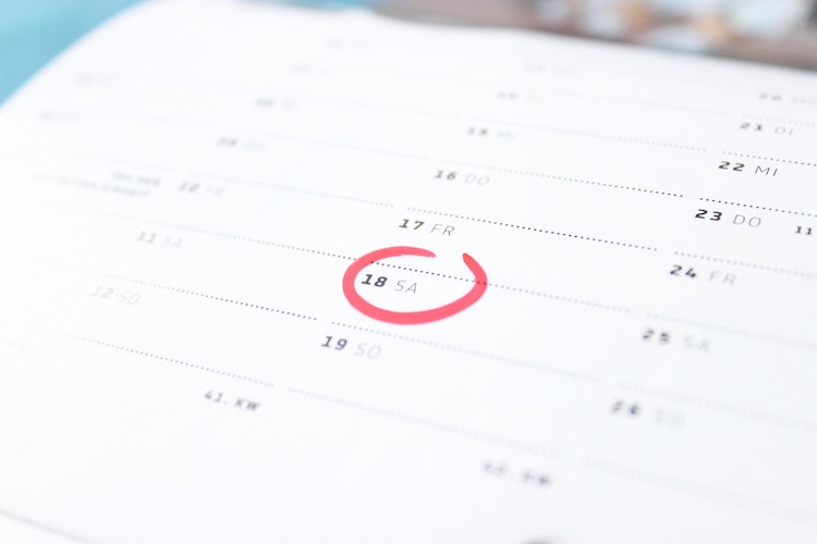 Calendar showing date of due payment of directors loan.